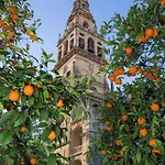 Rincon De San Nicolas * Córdoba